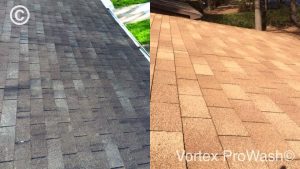 roof cleaning in Raleigh, NC