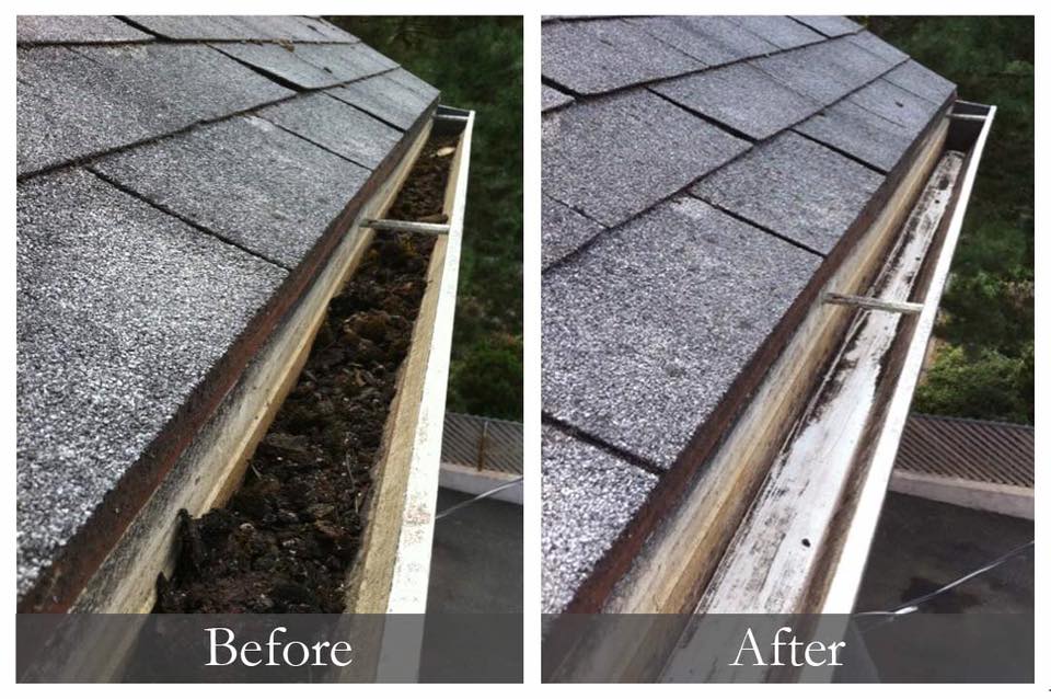 Gutter Cleaning Services In Chicago